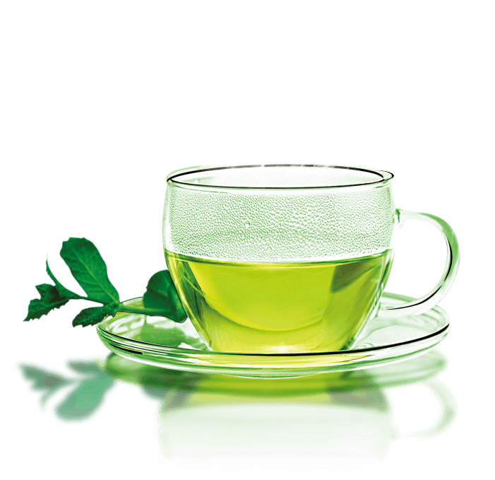 Greek Mountain Tea Cup